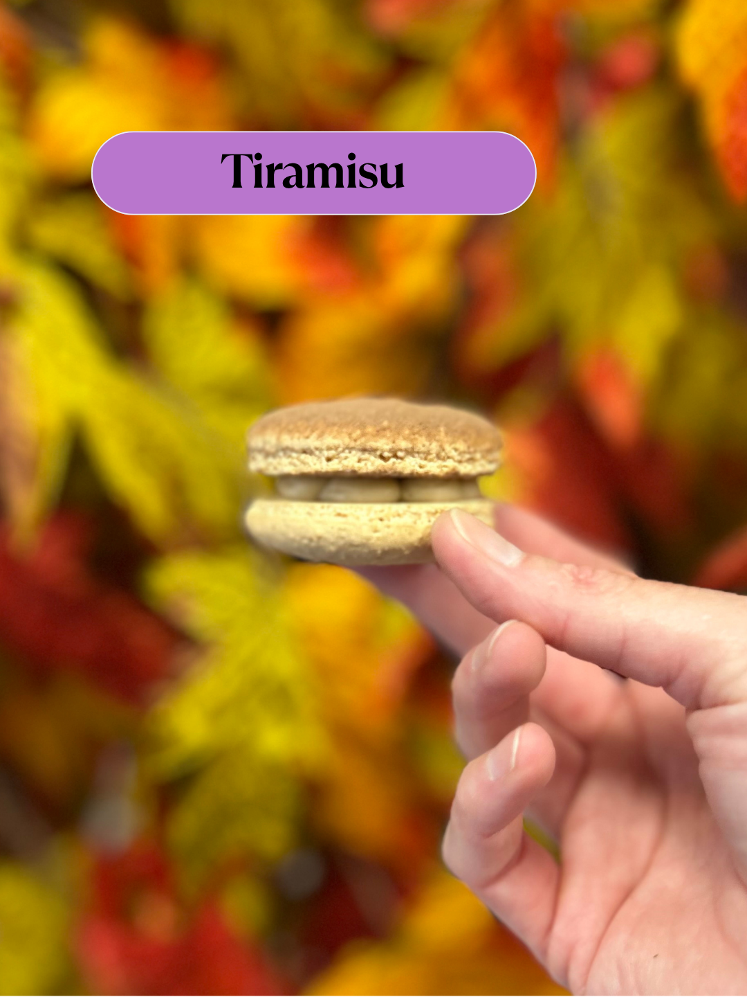 Limited Edition - Halloween Macarons