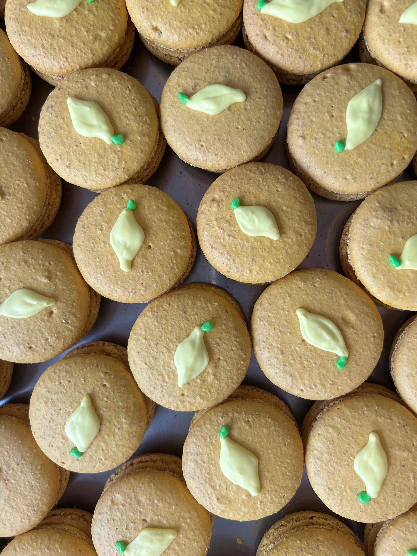 Limited Summer Macarons - The Sour Box