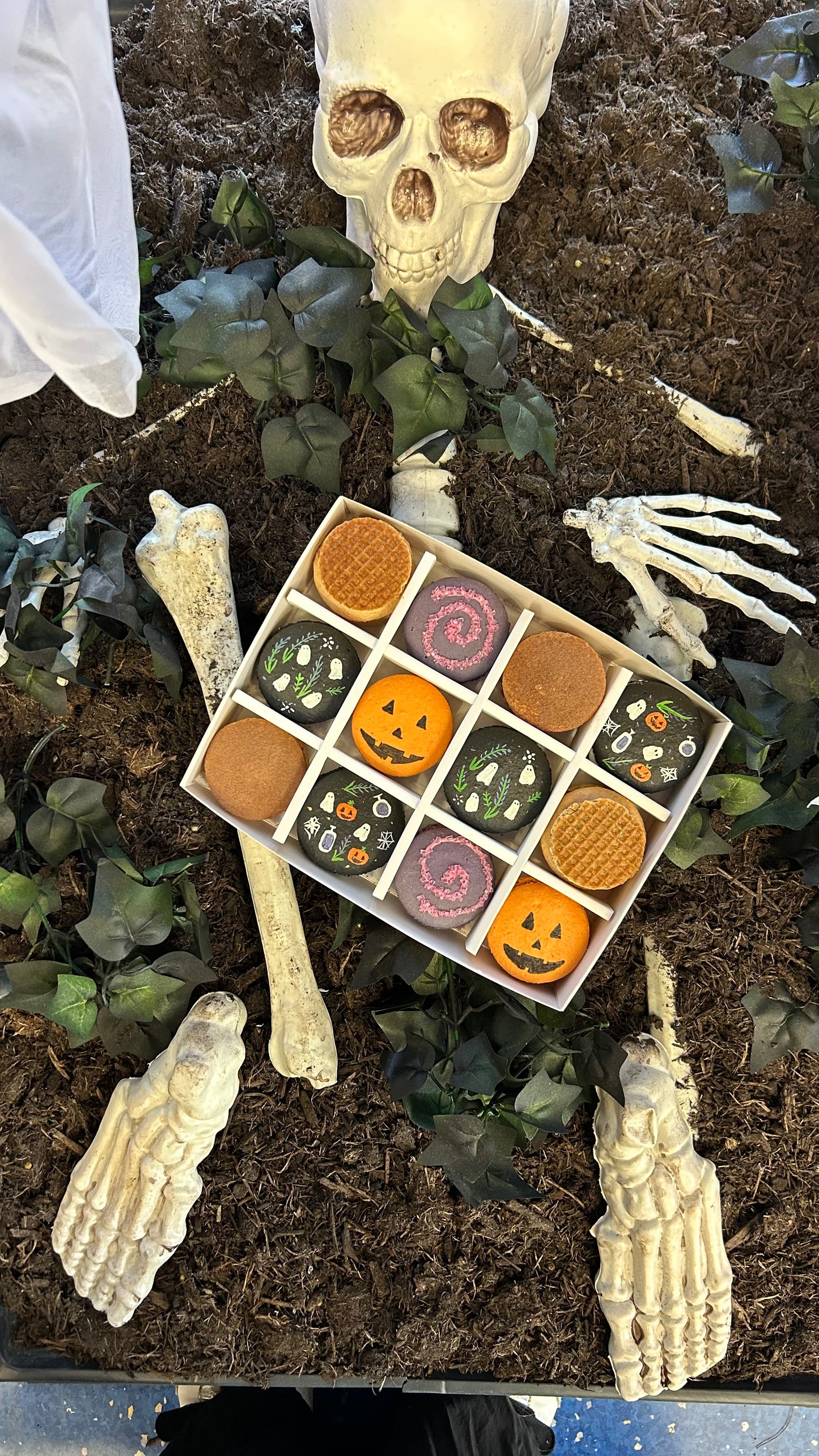 Limited Edition - Halloween Macarons