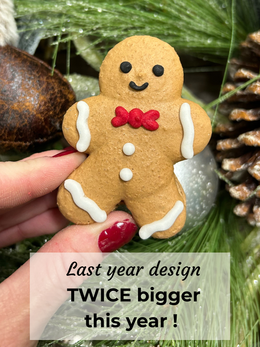 Christmas Macarons Shapes